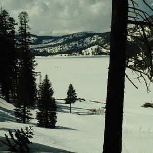 Meet your Posher, Raul